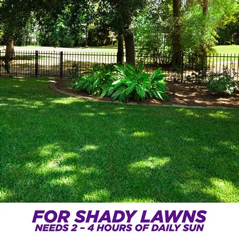 May 15, 2020 · making a level lawn area is simple although does require some physical effort for the initial digging. One Step Complete Dense Shade - Grass Seed Repair Mix | Pennington