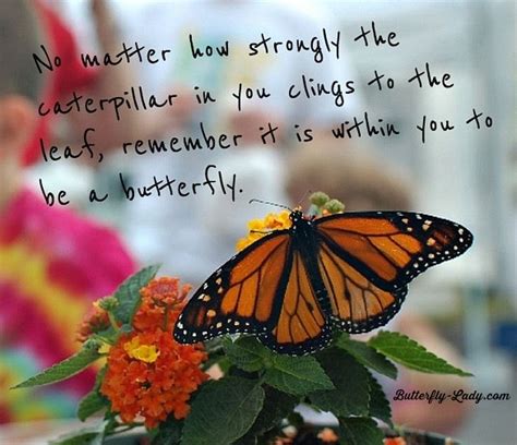 No Matter How Strongly The Caterpillar In You Clings To The Leaf