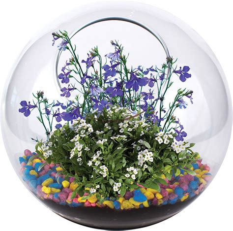 The plant assortment may vary with the season. Mini Fairy Garden Glass Terrarium - - Fat Brain Toys