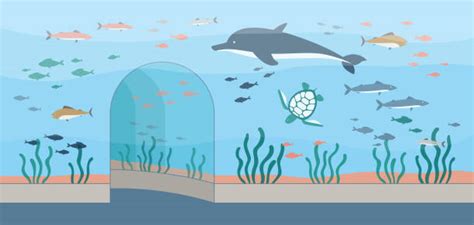 Free Free 276 Shark Tank Svg SVG PNG EPS DXF File