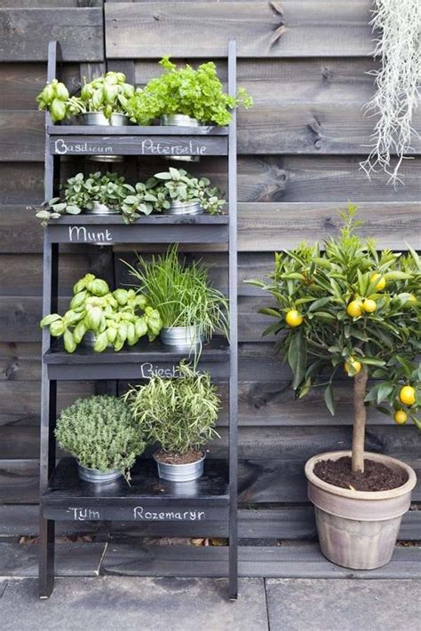 When you think of indoor herb gardens, the kitchen is obviously the place that first comes to mind. How to grow a herb garden - design ideas for outdoors and ...