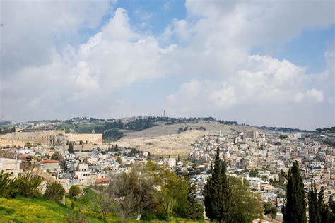 Living By Lysa Joy In Jerusalem