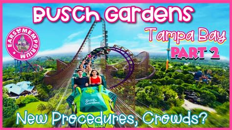 Is smoking allowed at busch gardens? 🔴LIVE: Busch Gardens Tampa Bay. New Procedures, Crowds ...