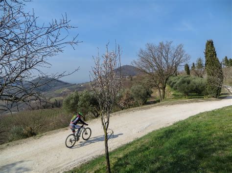 Alta Via Dei Colli Euganei Nest Bike Percorsi E Itinerari In Mtb E Gravel