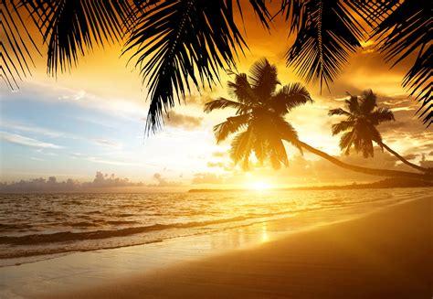 Wallpaper Tropical Sunset Paradise Beach Coast Sea