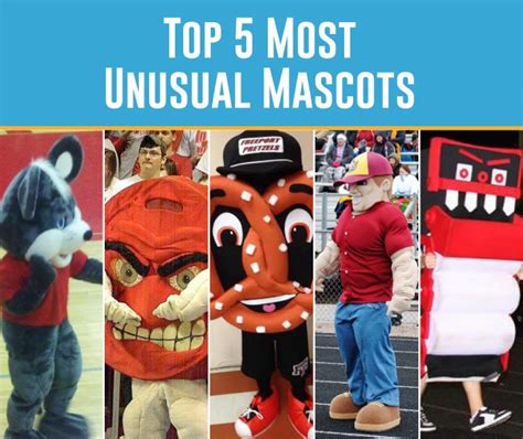 Top 5 Most Unusual High School Mascots Itg Next
