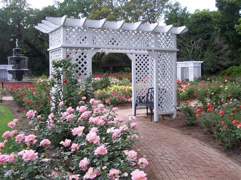 We have 49 gardenhouseflags.com coupon codes as of september 2020 grab a free coupons and save money. How to grow stop-and-smell-worthy roses - Bellingrath ...