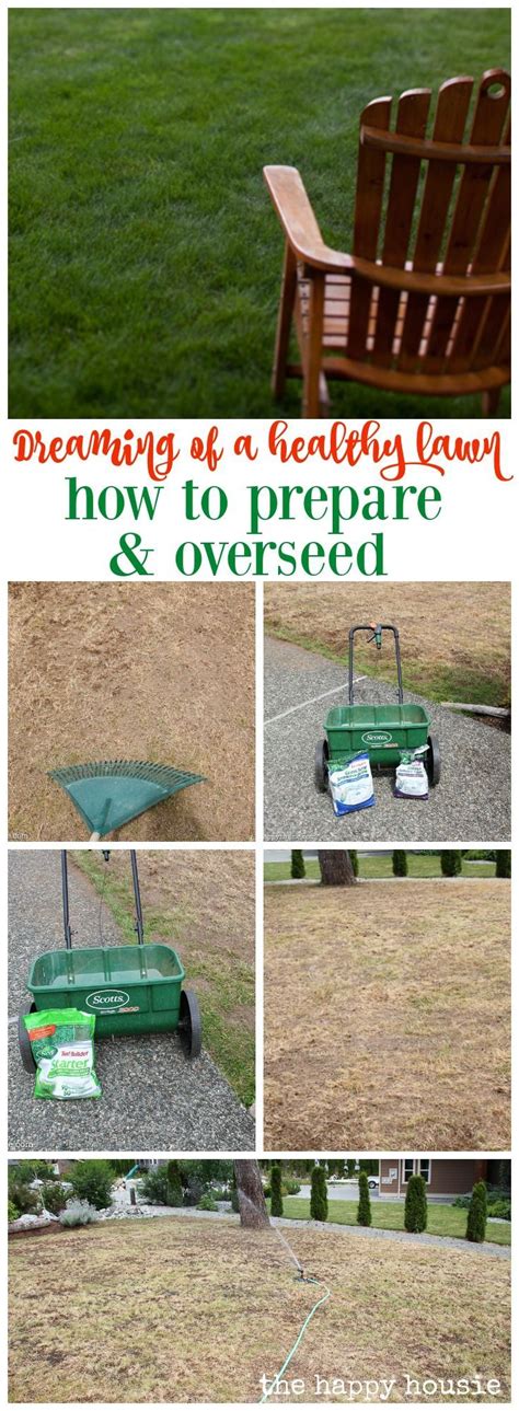 Cut that in half for overseeding and you get 3 to 4 pounds per 1,000 square feet. How to Prepare and Overseed Your Lawn | Overseeding lawn, Reseeding lawn, Overseeding