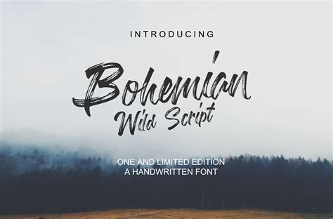 Bohemian Wild Script Font By Wasisme Studio