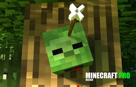Minecraft For Pro