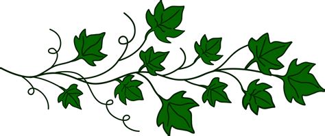 10 Ivy Leaf Vector Images Poison Ivy Ivy Leaves Clip Art And English