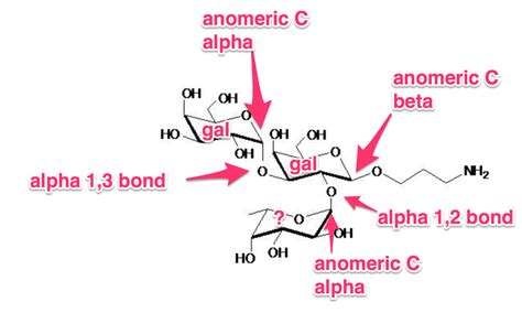 Glucose is a monosaccharide and reducing the formula of the glucose is c6h12o6, and this formula is common to other hexoses too.glucose can be in cyclic chair form and in chain form. biochemistry - Classification of glycosidic anomeric bonds ...
