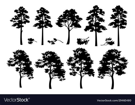 Trees Silhouettes Royalty Free Vector Image Vectorstock