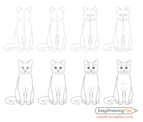 How To Draw A Sitting Cat Step By Step Easydrawingtips Cat Face