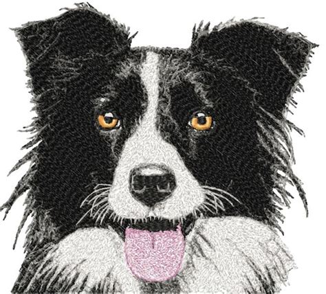 Sfumato Border Collie 7x8 Products Swak Embroidery