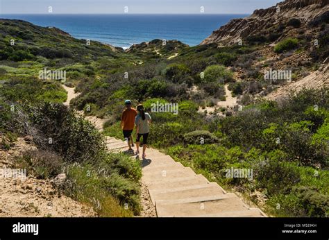 Torrey Pines State Natural Reserve Located Within San Diego City