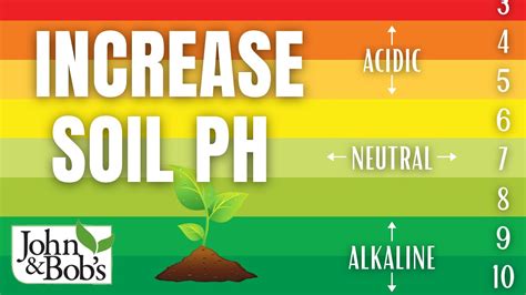 How To Increase Soil Ph Organically Youtube