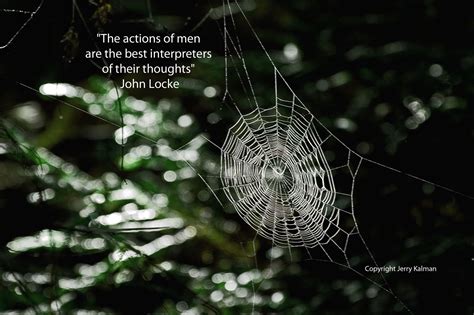 Spider Web Quotes Shortquotescc