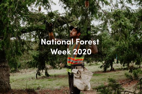 National Forest Week — Mosaic Forest Management