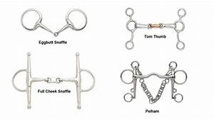 What Is A Horse Bit 16 Types Of Horse Bits Their Uses