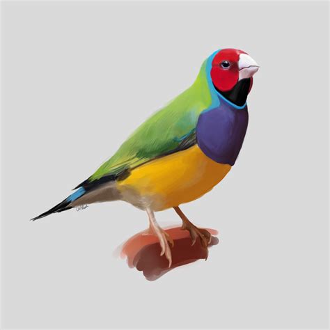 While your tv is unplugged, press and hold the power button on the tv for 5 seconds to discharge it. Gouldian Finch — Weasyl