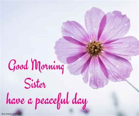 Good Morning Sister Have A Peaceful Day Good Morning Sister Images