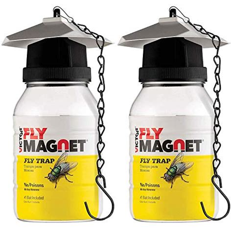 10 Best Patio Fly Trap In 2022 February Update