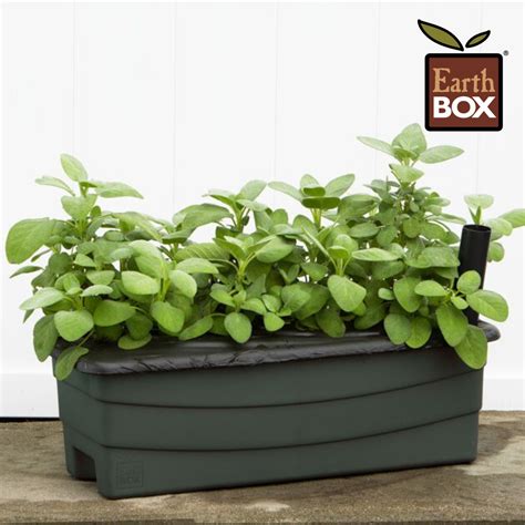 Earthbox Successful Container Gardening Systems Container