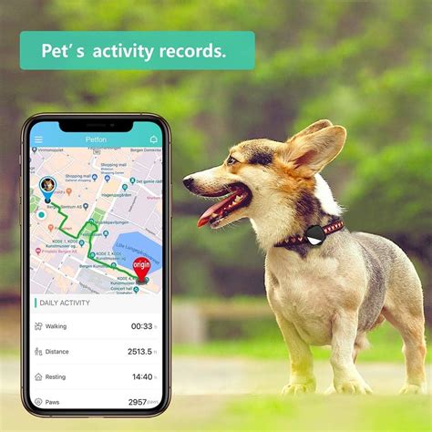 Only For Dog Pet Gps Tracker For Dogsno Monthly Fee Real Time Tracking