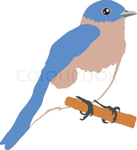 Bluebird Stock Vektor Colourbox