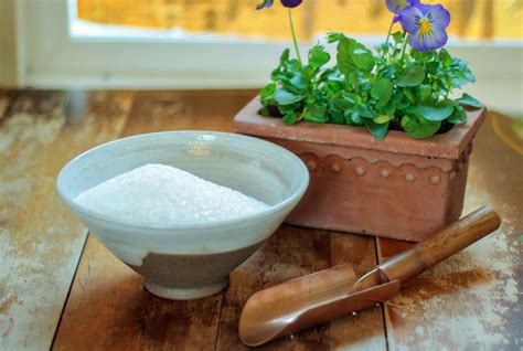 Gardening 101 How To Add Epsom Salts To Soil Gardenista