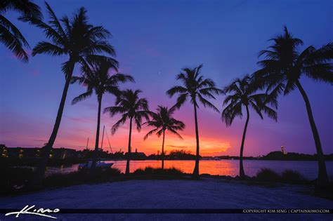 Jupiter Inlet Coconut Trees Sunset At Dubois Hdr Photography By