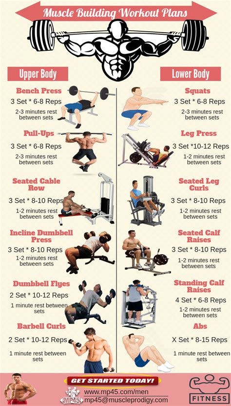 21 Bodybuilding Workout Plan For Beginners Hard Absworkoutroutine