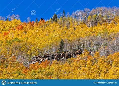 Fall Foliage In The San Juan Mountains Near Silverton Colorado Stock