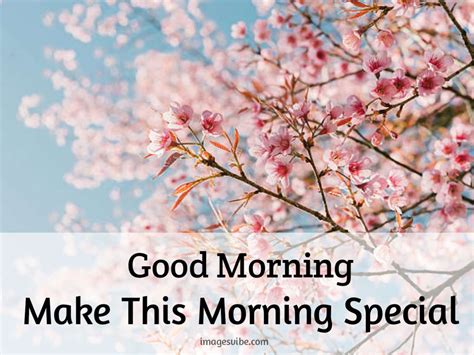 Beautiful Good Morning Flower Images Quotes In Images Vibe