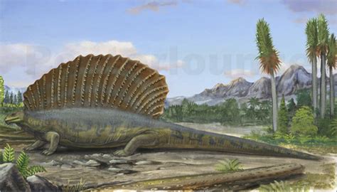 The first is triassic (250 to 200 million years ago). Paleozoic Era - The Record institute