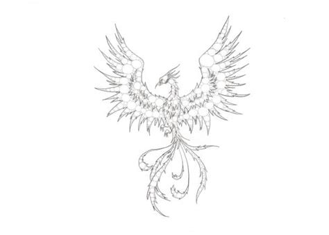 560 Drawing Of The Phoenix Birds Stock Photos Pictures And Royalty Free