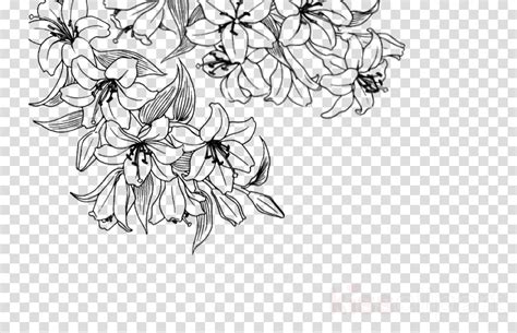 Flower Drawing Png Line