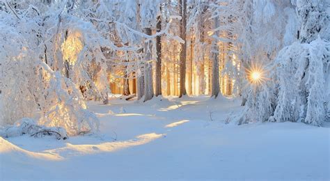 1920x1054 Forest Dawn Dusk Sunset Winter Snow Wallpaper Nature