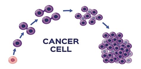 Science Break Cancer 101 How Normal Cells Become Transformed Into