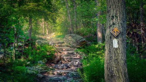 Appalachian Trail Bing Wallpaper Download