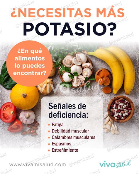 Alimentos Ricos En Potasio Alimentos Ricos En Potasio Beneficios De