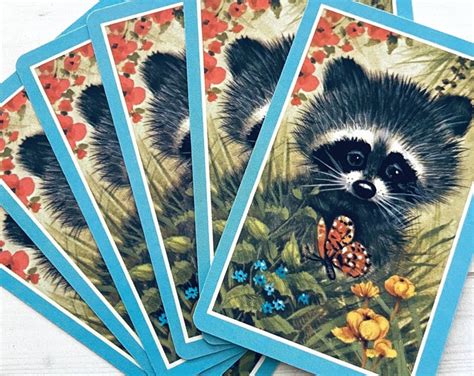 Vintage Raccoon Playing Cards Set Of 6 Vintage Cards Vintage Animal