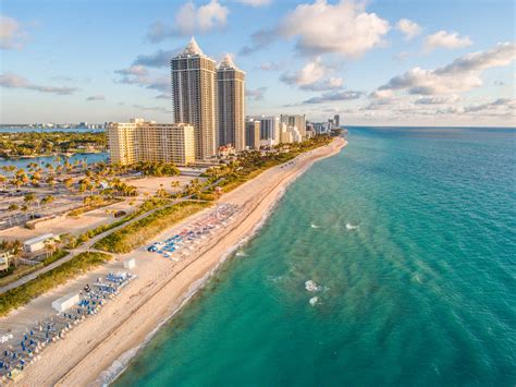 Freie kommerzielle nutzung keine namensnennung top qualität Pourquoi aller à Miami ? Soleil, plages et crocodiles