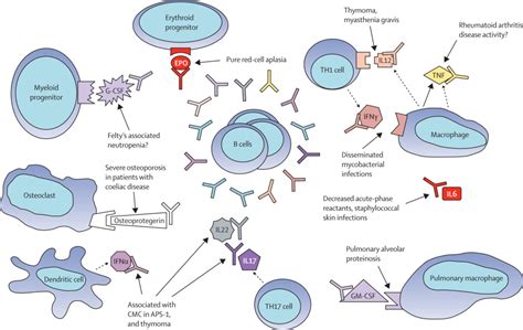 Anticytokine Autoantibodies In Infectious Diseases Pathogenesis And
