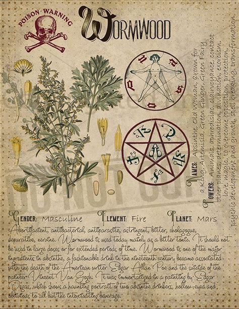 Pin By Maria On Witchy Book Of Shadows Magic Herbs Wiccan Spell Book