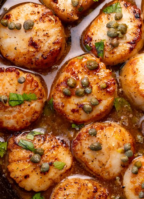 Pan Seared Scallops With Lemon Caper Sauce Laptrinhx News