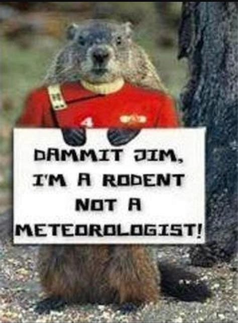 Pin By Docholliday1876 On Funny Groundhog Day Happy Groundhog Day