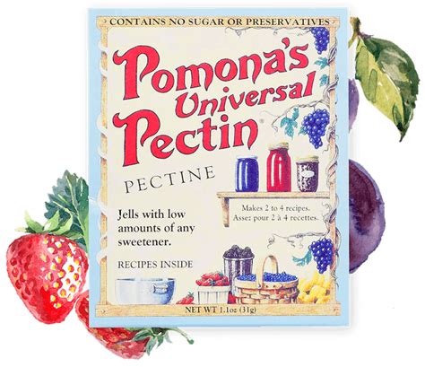 Pomona S Universal Pectin