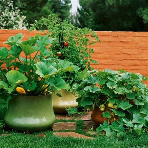 Awesome Vegetable Gardening In Container Vegetable Garden Design
